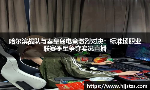哈尔滨战队与秦皇岛电竞激烈对决：标准场职业联赛季军争夺实况直播